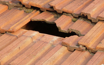 roof repair Mount Batten, Devon