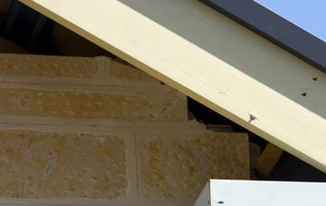 soffit repair Mount Batten