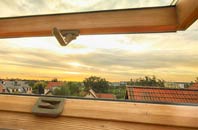 rated Mount Batten roof window companies